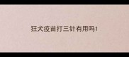 狂犬疫苗打三针有用吗