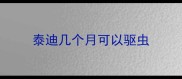 泰迪几个月可以驱虫