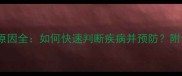 猫咪眼球变红原因全如何快速判断疾病并预防附专业兽医建议