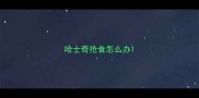 哈士奇抢食怎么办