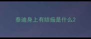 泰迪身上有结痂是什么