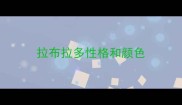 拉布拉多性格和颜色