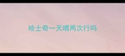 哈士奇一天喂两次行吗