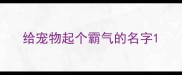 给宠物起个霸气的名字