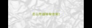 怎么带猫咪做绝育