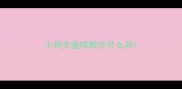小狗犬瘟咳嗽吃什么药