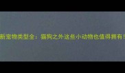 最新宠物类型全猫狗之外这些小动物也值得拥有