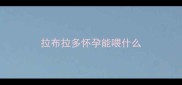 拉布拉多怀孕能喂什么