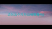 边牧五个月可以啃筒骨吗
