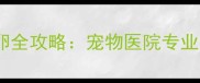 猫咪人工刺激排卵全攻略宠物医院专业指南与注意事项