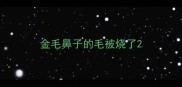 金毛鼻子的毛被烧了