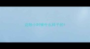 边牧小时候什么样子的
