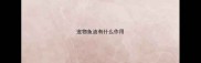 宠物鱼油有什么作用