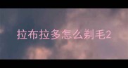 拉布拉多怎么剃毛