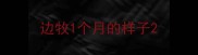 边牧1个月的样子