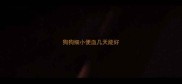 狗狗细小便血几天能好