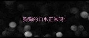 狗狗的口水正常吗