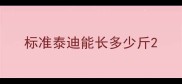标准泰迪能长多少斤