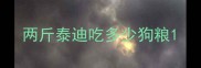 两斤泰迪吃多少狗粮