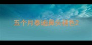 五个月泰迪鼻头褪色
