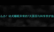 贵宾犬6个月嗜睡怎么办幼犬睡眠异常的7大原因与科学养护指南附诊断清单