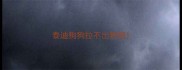 泰迪狗狗拉不出粑粑