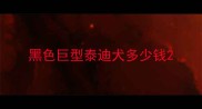 黑色巨型泰迪犬多少钱