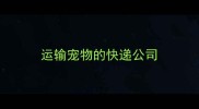运输宠物的快递公司