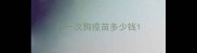 打一次狗疫苗多少钱