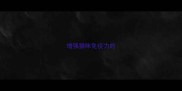 增强猫咪免疫力的