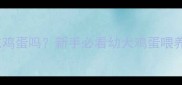 两个月大泰迪犬能吃鸡蛋吗新手必看幼犬鸡蛋喂养全攻略附食谱