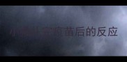 小猫扎完疫苗后的反应