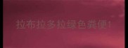 拉布拉多拉绿色粪便