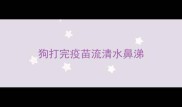 狗打完疫苗流清水鼻涕