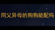 同父异母的狗狗能配吗