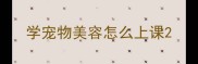 学宠物美容怎么上课