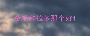 金毛和拉多那个好