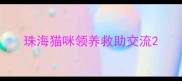 珠海猫咪领养救助交流