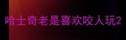 哈士奇老是喜欢咬人玩