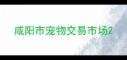 咸阳市宠物交易市场