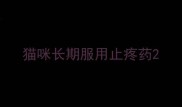 猫咪长期服用止疼药