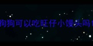 狗狗可以吃旺仔小馒头吗