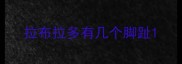 拉布拉多有几个脚趾