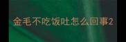 金毛不吃饭吐怎么回事