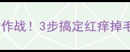 泰迪犬皮肤皮屑大作战3步搞定红痒掉毛附专业护理指南