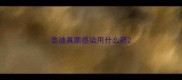 泰迪真菌感染用什么药