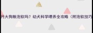 边境牧羊犬3个月大狗粮泡软吗幼犬科学喂养全攻略附泡软技巧与注意事项