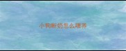 小狗断奶怎么喂养