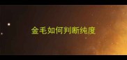 金毛如何判断纯度