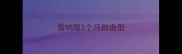 雪纳瑞3个月的造型